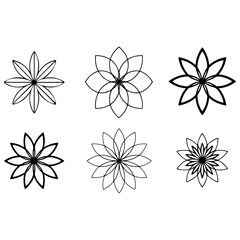 Collection of floral and botanical elements. Set of leaf, foliage wildflowers, plants, bloom, leaves and herb. Hand drawn of blossom spring season vectors for decor, website, wedding card and shop.