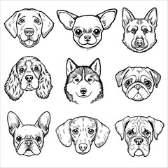 A collection of dog faces illustrated in a grid. Breeds include Labrador, Chihuahua, German Shepherd, Cocker Spaniel, Siberian Husky, Pug, French Bulldog, Dachshund, and Boxer.