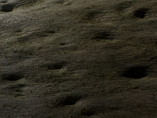 Weathered Wood Grain Close Up with Dark Grooves and Knots
