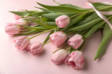 Delicate bouquet of pink tulips tied with a ribbon on a pink background