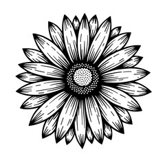 Vintage hand drawn sunflower icon for ecological sites and botanical presentation designs