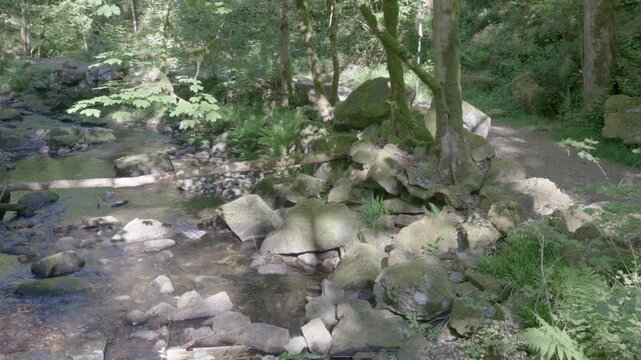 Rivi&egrave;re entour&eacute; de for&ecirc;t et d'une falaise de roche pleine de mousse