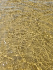 Clear water surface with golden hue and reflections, creating a serene natural scene