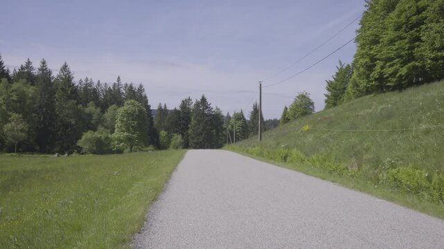 Route de campagne au printemps avec le chant des oiseaux et des grillons