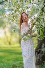 Beautiful Girl with long hair in a white dress poses near white blossoming apple trees