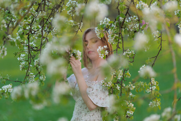 Beautiful Girl with long hair in a white dress poses near white blossoming apple trees