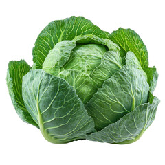 Fresh green cabbage head isolated, representing healthy eating and vegetarian lifestyle