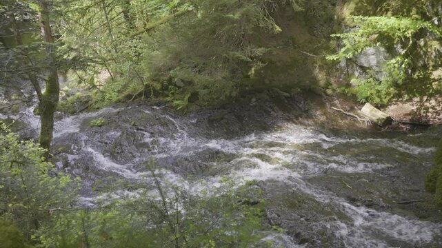 Torrent qui d&eacute;vale une pente rocheuse au milieu de la for&ecirc;t