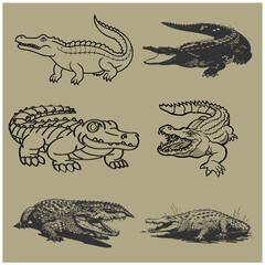 crocodile black and white vector image 7