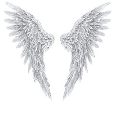angel wings isolated on transparent background
