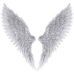 Obraz premium angel wings isolated on transparent background