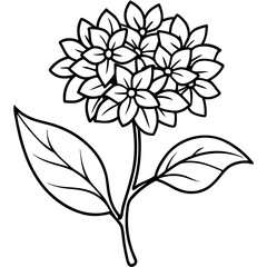 black and white flower vector