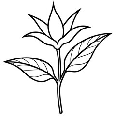 silhouette of a tree