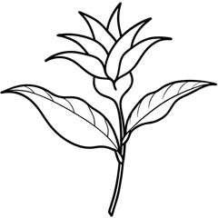 vector illustration of a tree