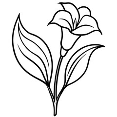 black and white flower