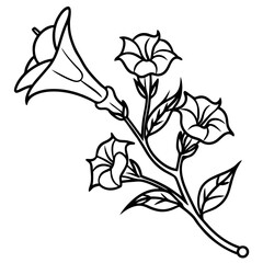 vector illustration of a rose