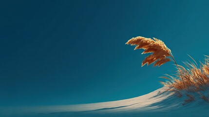  Tall grasses sit on snowy ground beneath blue sky on sunny day