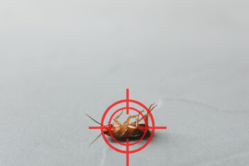 Dead cockroach with red target symbol on grey surface, closeup. Pest control