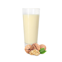 Nut milk in glass and walnuts isolated on white
