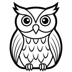 owl on white background