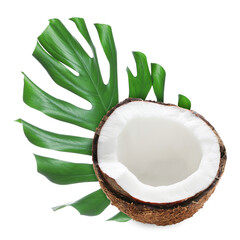 Fresh coconut and green tropical monstera leaf isolated on white