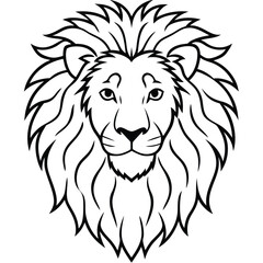 lion vector illustration