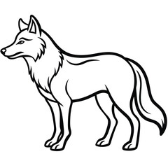 fox vector illustration