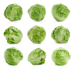 Fresh ripe cabbages on white background, collage
