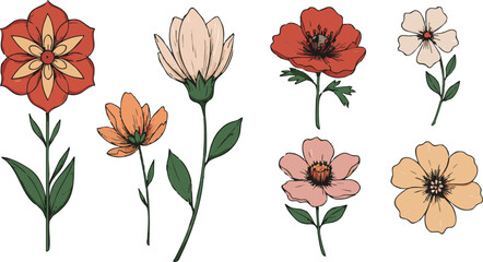 Collection of hand drawn flowers in various colors and styles on a white background illustration art