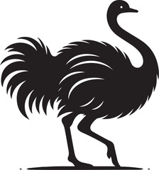 Ostrich Silhouette Isolated on White Background