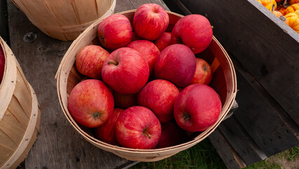 Basket of red apples