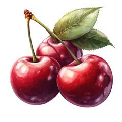 Watercolor style depiction of three fresh ripe cherries with stems and leaves