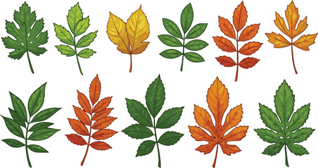 A collection of ten different colorful leaves in various shapes and sizes on a white background art drawing