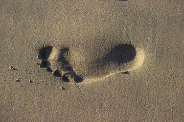 Traces we leave behind: single footprint in morning sand by the coast