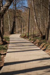 a tile path in the park, near which there is a bench for relaxing and a lantern