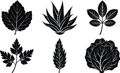 Simple Leaf Vector Icon White Background