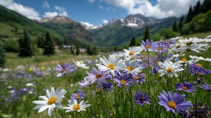 Fototapeta premium A field of purple and white flowers blooms in front of majestic snow-capped mountains