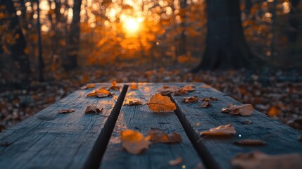 Autumn Table Scene: Orange Leaves on Wooden Plank Under Sunset Glow in Vibrant Forest