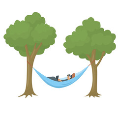 Man  laying in a hammock under the trees and working on a laptop. Color vector isolated illustration in flat style.	
