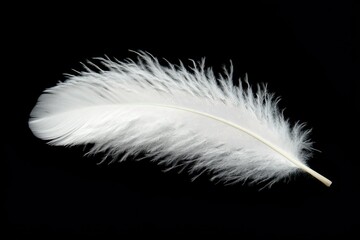 Obraz premium Delicate White Feather Descending Gently Against a Serene Sky. Soft and Fluffy, Evoking the Essence of Nature's Lightest Touch