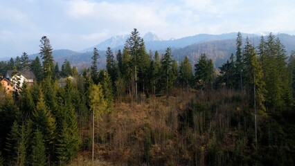 mountain top rocks view from above Zakopane Poland