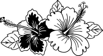 Artistic black and white illustration of two hibiscus flowers with detailed outlines and leaves for elegant floral designs