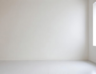 Minimalist white empty room with natural light
