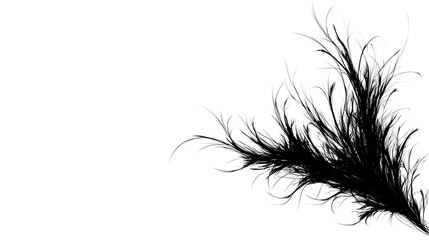Abstract feather design