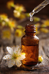 essential oil and blossoms