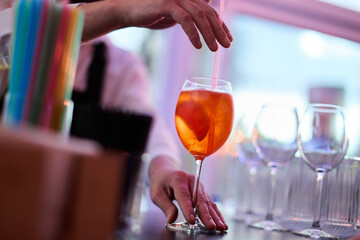 Bartender Preparing Cocktails at a Bar Counter