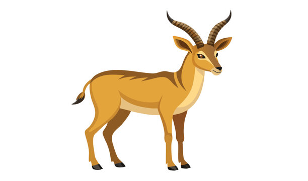 Illustration of a male impala antelope