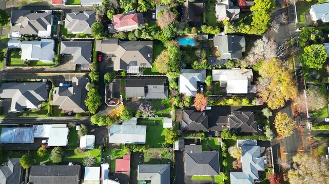Top Down Drone Shot of Quiet Suburb, Streets and Houses in Lush Greenery, Palmerston North, New Zealand
