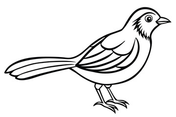 vector illustration of a bird