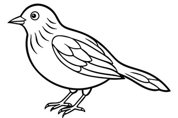 Obraz premium vector illustration of a bird